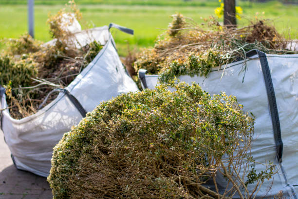 Best Local Junk Hauling  in Morenci, AZ